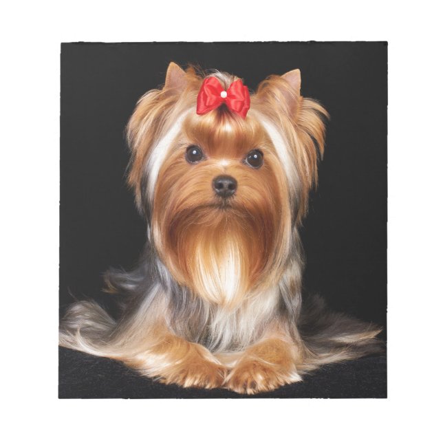 Beautiful Yorkshire Terrier Notepad (Front)