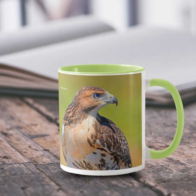 Beautiful Young Red-Tailed Hawk Mug (Beautiful Young Red-Tailed Hawk 11 oz Coffee Mug Cover Photo.)