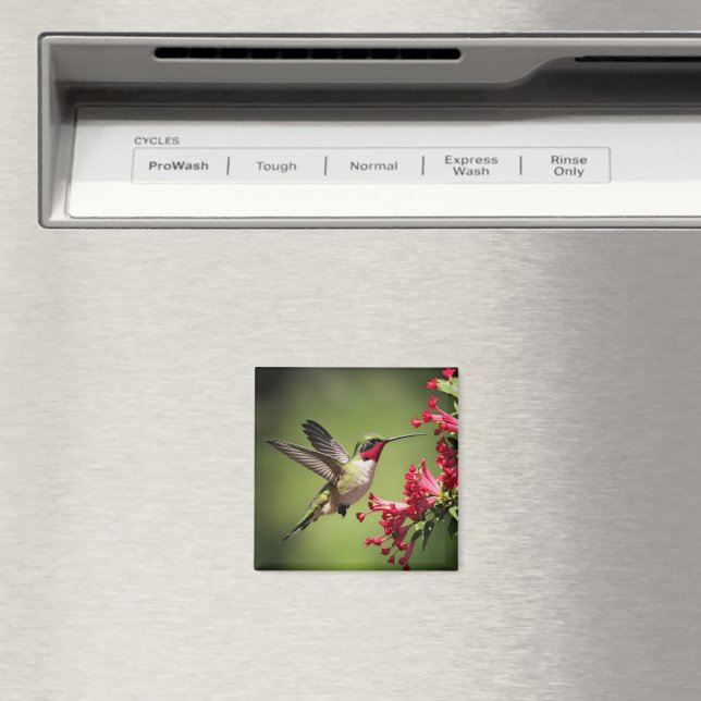 Beautifull Hummingbird Magnet (In Situ (Dishwasher))