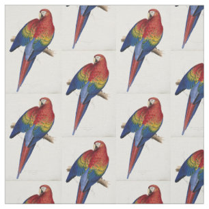 beautifully coloured macaw parrot fabric