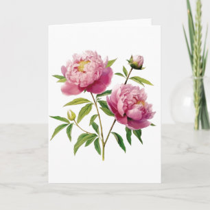 Beautifully Hand Painted Peonies, Blank Card