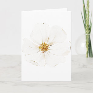 Beautifully Hand Painted White Peony, Blank Card