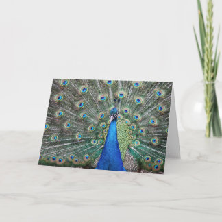 BeautifulPeacock Thank You Card