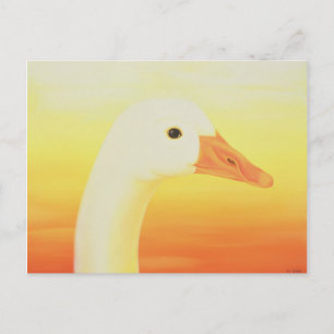 Beauty 1998 postcard