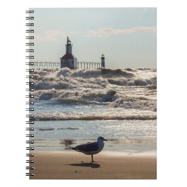 Beauty And Force Notebook (Front)