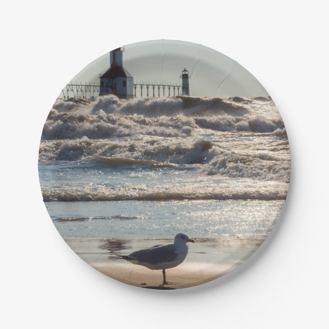 Beauty And Force Paper Plate (Front)