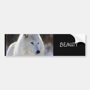 BEAUTY BUMPER STICKER