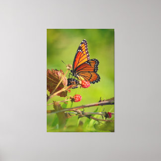Beauty  canvas print