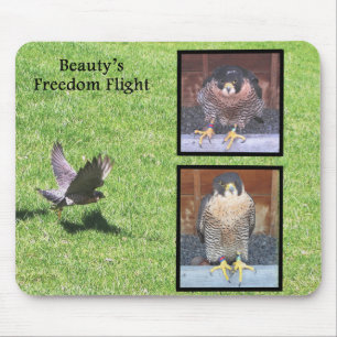 Beauty Freedom Flight Mousepad