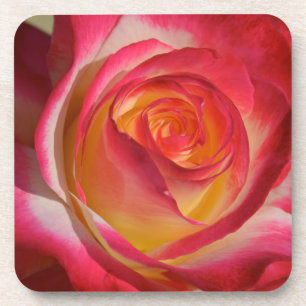 Beauty from Within Coaster