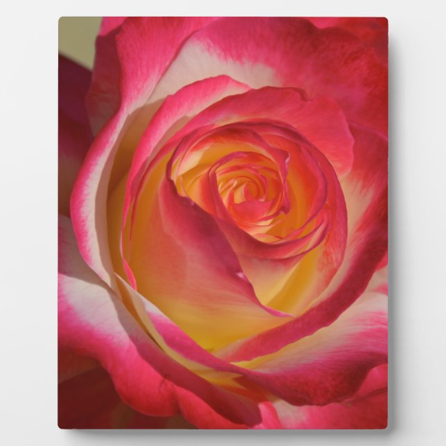 Beauty from Within Plaque (Front)