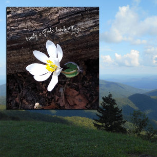 BEAUTY GOD’S HANDWRITING EMERSON EARTHY  CANVAS PRINT