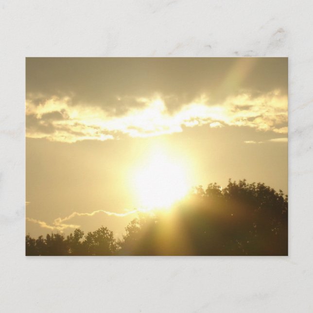 Beauty In A Sunrise Postcard (Front)