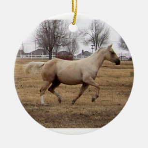 Beauty in Motion ornament