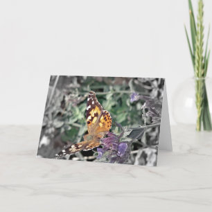 Beauty in Nature Card