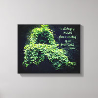 Beauty In Nature Vines Inspirational Quote