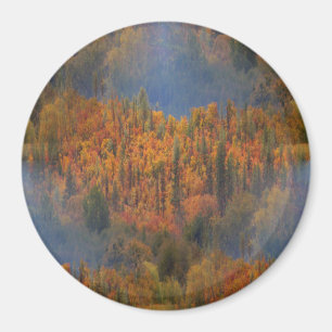 Beauty in the Fall.. Magnet