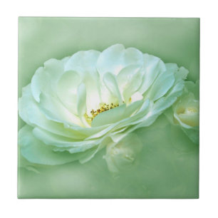 BEAUTY IN THE MIST - GREEN TILE