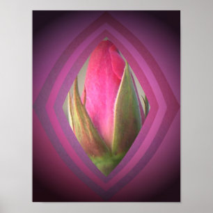 Beauty in the Shadows Poster