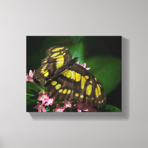 Beauty in the Stars Wrapped Canvas