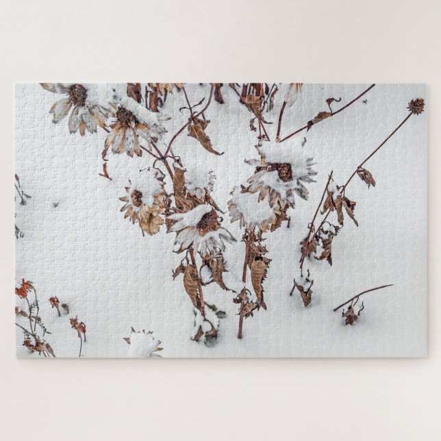 Beauty in Winter - 1014 piece Jigsaw Puzzle (Horizontal)