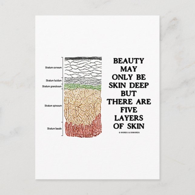Beauty May Be Skin Deep But Five Layers Of Skin Postcard (Front)