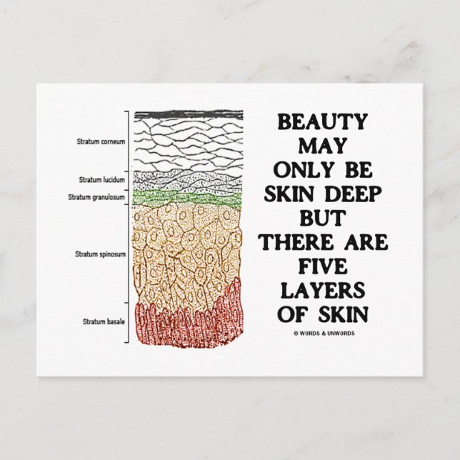 Beauty May Be Skin Deep But Five Layers Of Skin Postcard (Front)