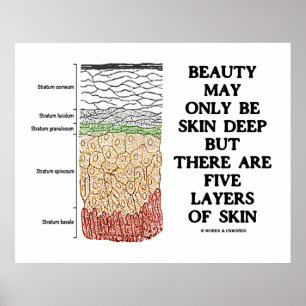 Beauty May Be Skin Deep But Five Layers Of Skin Poster
