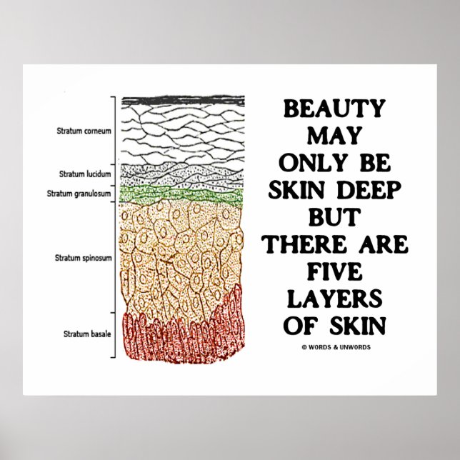 Beauty May Be Skin Deep But Five Layers Of Skin Poster (Front)