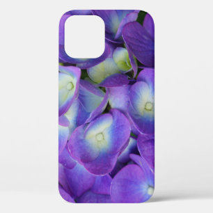 Beauty Of a Blue Hydrangea iPhone Case