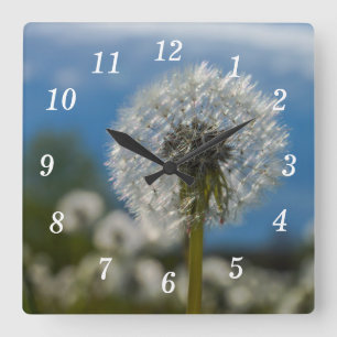 Beauty Of A Dandelion Wall Clock