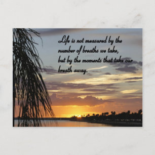 Beauty of Life Postcard