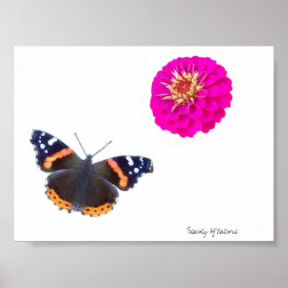 Beauty Of Nature Poster