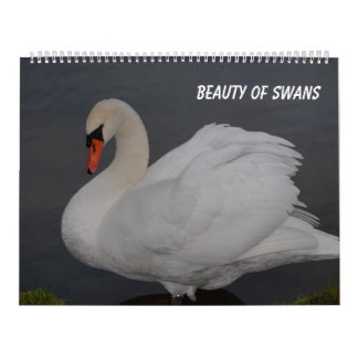 Beauty of Swans Calendar