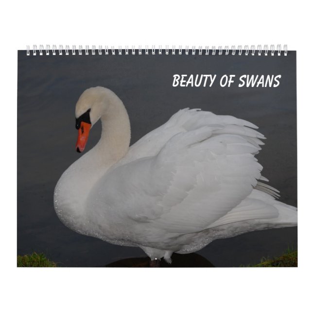 Beauty of Swans Calendar (Cover)