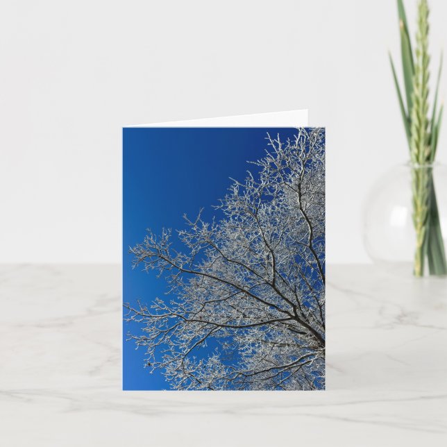 Beauty of Winter Greeting Card (Front)