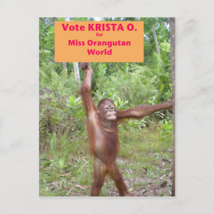 Beauty Pageant Activist Postcard