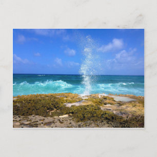 Beauty Postcard