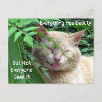Beauty Quote Postcard - Starring Beast - Cat 
