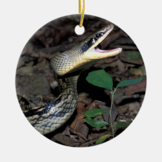 Beauty rat snake ceramic tree decoration
