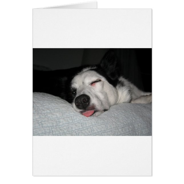 Beauty Rest Series (Front)