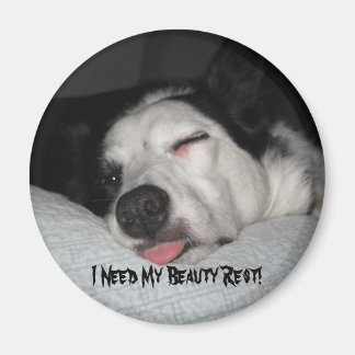 Beauty Rest Series Magnet