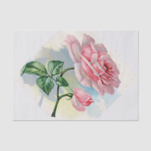 Beauty Rose Pink on Grey Tissue Paper