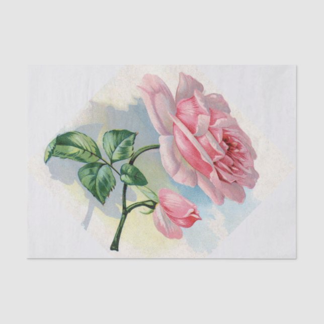 Beauty Rose Pink on Grey Tissue Paper (Front)