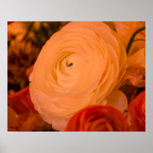 Beauty Surrounds 20 x 16 Achival Paper Poster