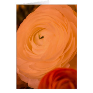 BEAUTY SURROUNDS GREETING CARD TEMPLATE