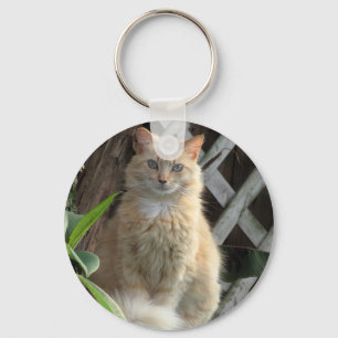 Beauty - The Prettiest Stray Cat -  Key Chain