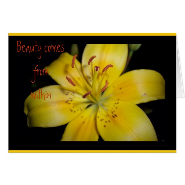 Beauty Within (Front Horizontal)