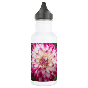 Beaux 532 Ml Water Bottle