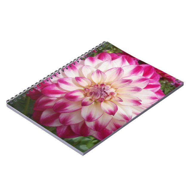 Beaux Spiral Notebook (Left Side)